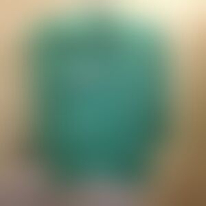 Green Crewneck Sweatshirt